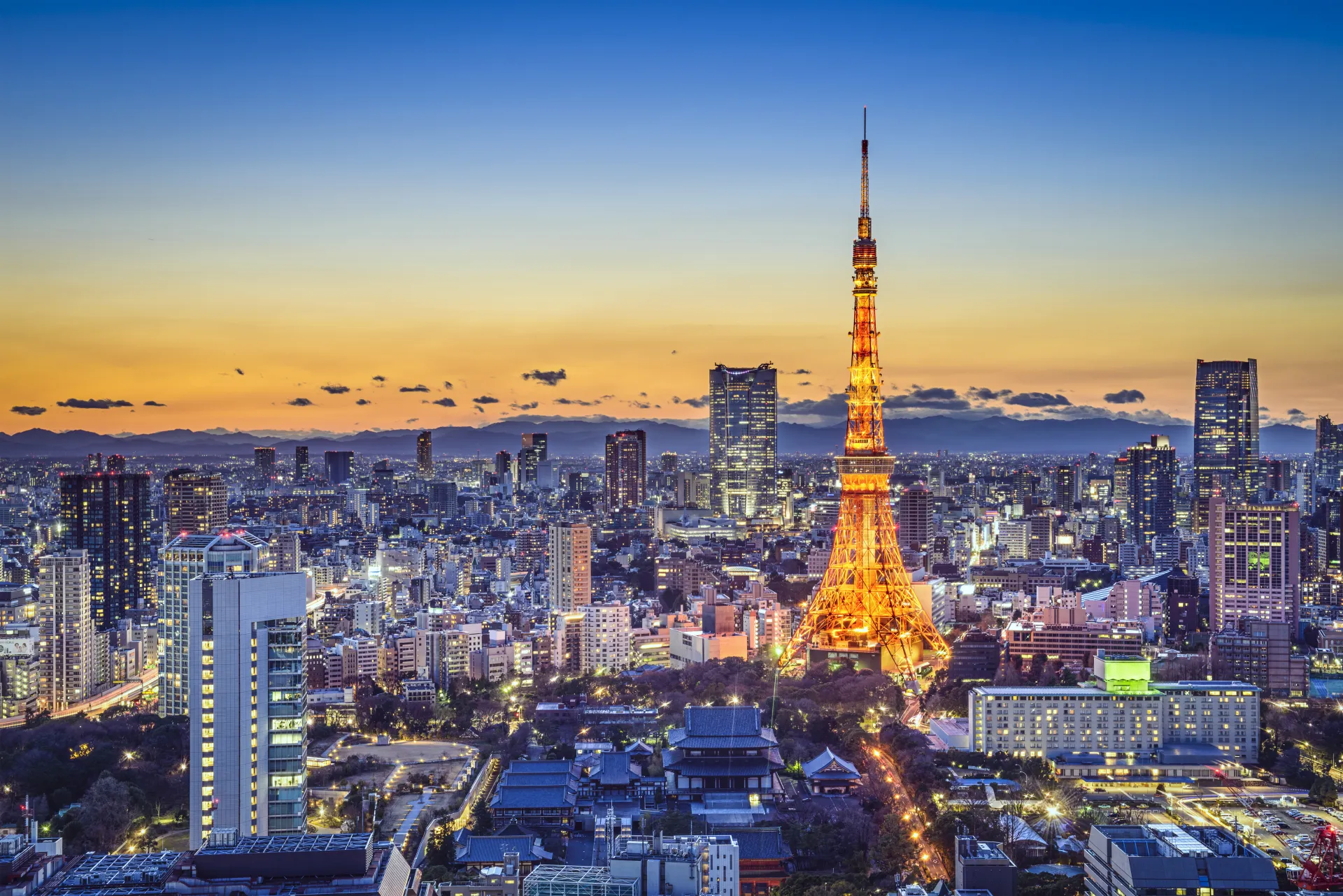 Photograph of the Tokyo skyline